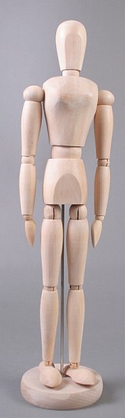 Дрвен модел човечко тело - жена - 40 cm
