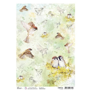 Оризова хартија A4 мали птици